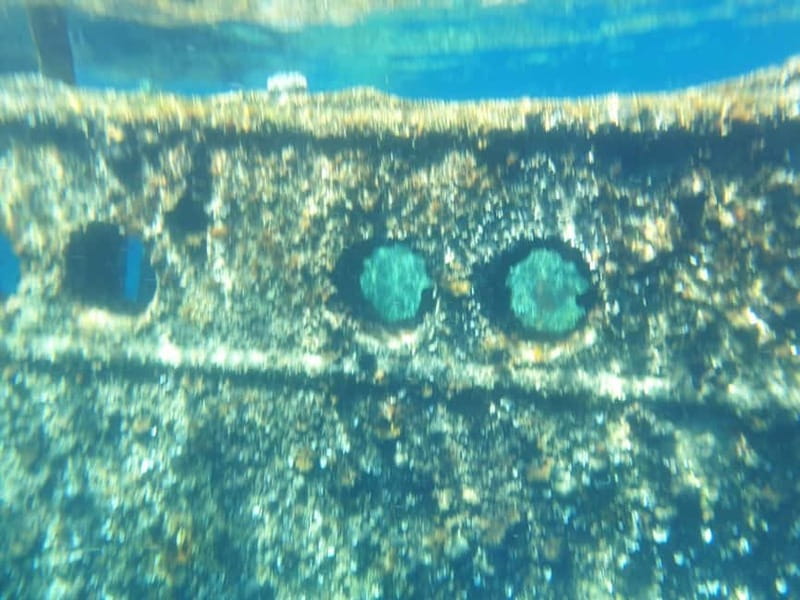 4 Jewels of Zadar, Dugi otok, sunken ship - Half day - Stop 1: Muline (Ugljan) and Južna luka’s easy swim bays