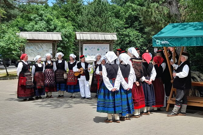 Day Tour To Plitvice Lakes From Zadar - Timing reality: a full 8-hour day with a tight internal flow