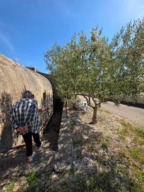 Eco tuk tuk Highlights of Zadar - The Longer Time in a Less-Visited Area and the Mini Guided Tour