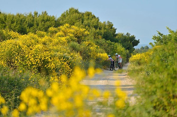 Exploring Vodice on Two Wheels - Stop in Vodice: history stories that start in 1402