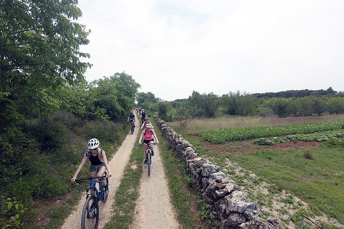 Exploring Vodice on Two Wheels - A possible wine tasting at the end