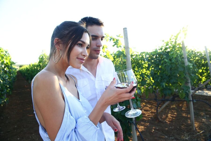 From Biograd: Wine and Olive Oil Tasting in Ražnjevića Dvori - Why Ražnjevića Dvori tastes better than a quick winery stop