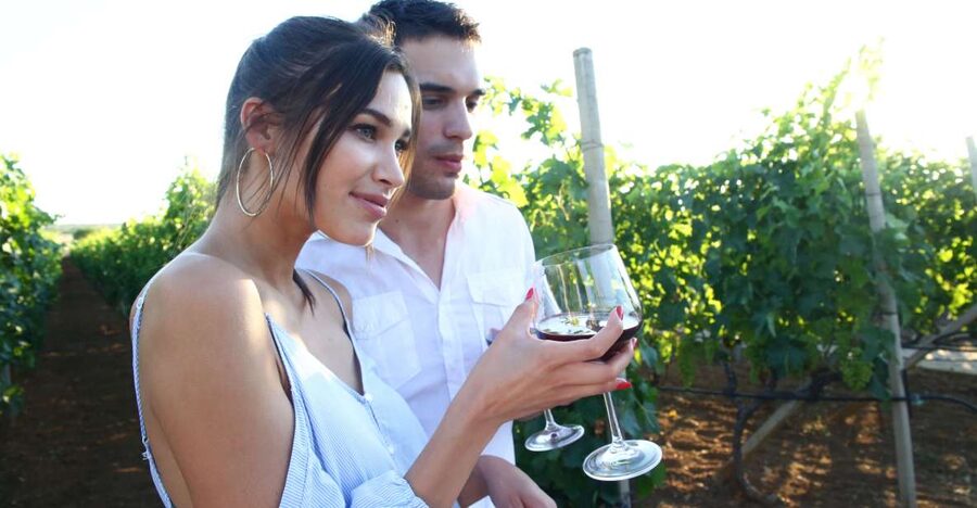 From Biograd: Wine and Olive Oil Tasting in Ražnjevića Dvori - Biograd meeting point: easy start, short ride, less hassle