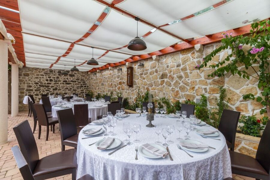 From Biograd: Wine and Olive Oil Tasting in Ražnjevića Dvori - Zinfandel and Primitivo: the ancestral secret you’ll be told