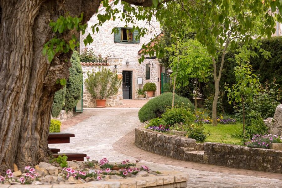 From Biograd: Wine and Olive Oil Tasting in Ražnjevića Dvori - Olive oil isn’t an afterthought here