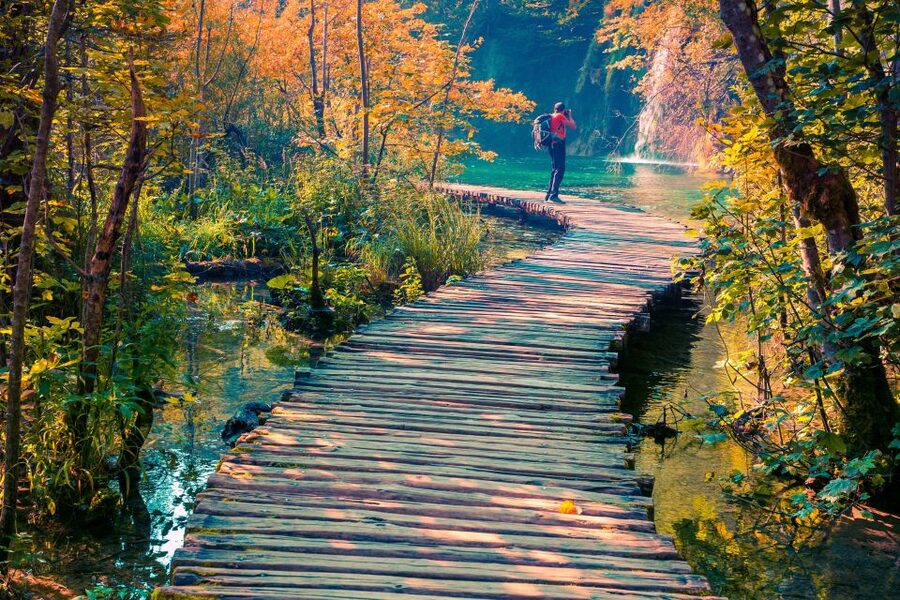 From Split/Trogir/Omiš: Plitvice Lakes Guided Group Tour - Free time inside the park: how to get great pictures and stay relaxed