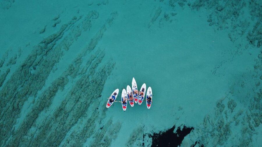 From Zadar: Full Day Dugi Otok Guided Paddle Board Tour - Key moments worth planning for