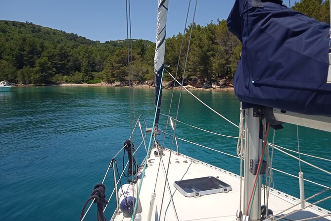 From Zadar: Half day sailing tour - Key things to know before you board