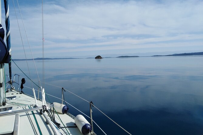 From Zadar: Half day sailing tour - Ošljak in about an hour: where the swimming and snorkeling happen
