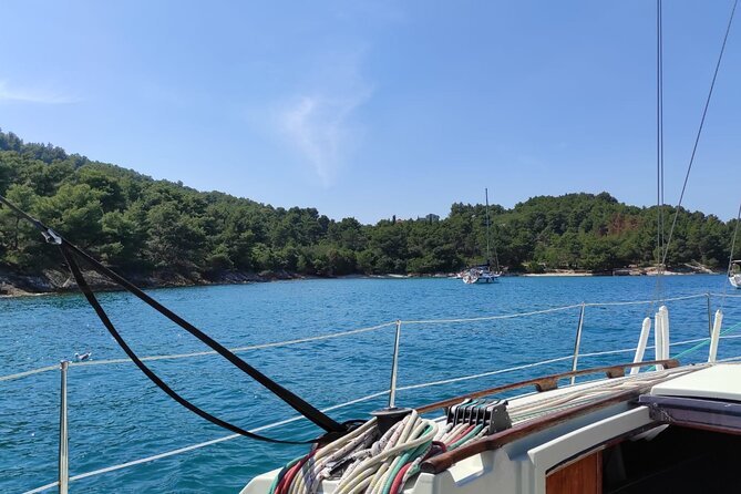 From Zadar: Half day sailing tour - Meeting point, skipper, and what you’re really paying for