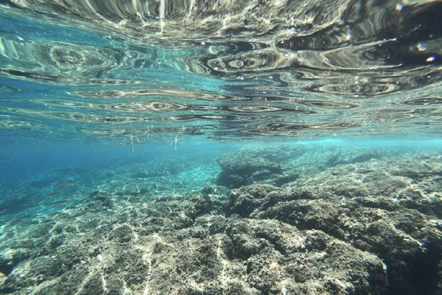 From Zadar: Half/Full Day Sailing Tour - Half-Day vs Full-Day: How to Choose Your Best Sea Window