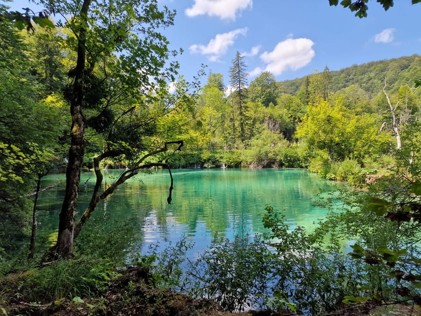 From Zadar: Plitvice Lakes Day Trip with Guide and Boat Tour - Food, Bathrooms, and Snack Break Strategy