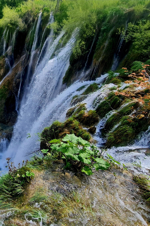 From Zadar: Plitvice Lakes Day Trip with Guide and Boat Tour - Timing and Meeting Points in Zadar (Morning vs Afternoon)