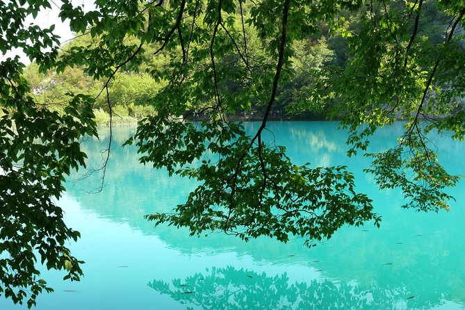 From Zadar: Plitvice Lakes Guided Day Tour with Tickets - Meet your guide: the storytelling part is the real value