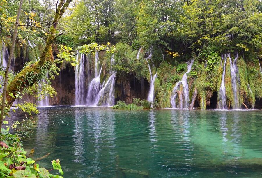 From Zadar: Plitvice Lakes National Park Tour - The Lower Lakes circuit: terraces, turquoise water, and built-in viewpoints