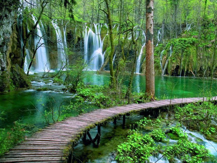 From Zadar: Plitvice Lakes National Park Tour - Park train ride and walking reality: how to get the timing right