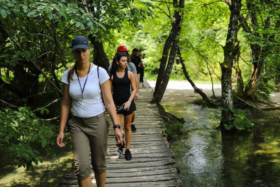 From Zadar: Round-Trip Transfer to Plitvice Lakes - The ride from Zadar: pickup, comfort, and how to use the briefing