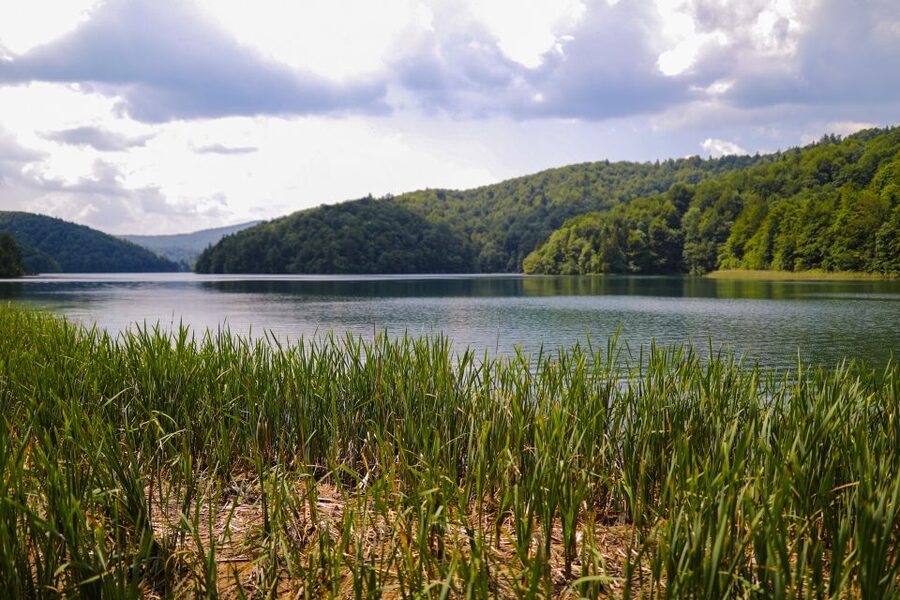 From Zadar: Round-Trip Transfer to Plitvice Lakes - Inside the park: terraced lakes, waterfalls, and practical walking advice
