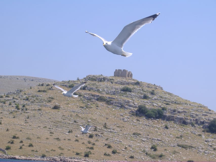 Full-day boat trip from Zadar and Sukošan to Kornati NP - Who this tour fits best (and who should reconsider)
