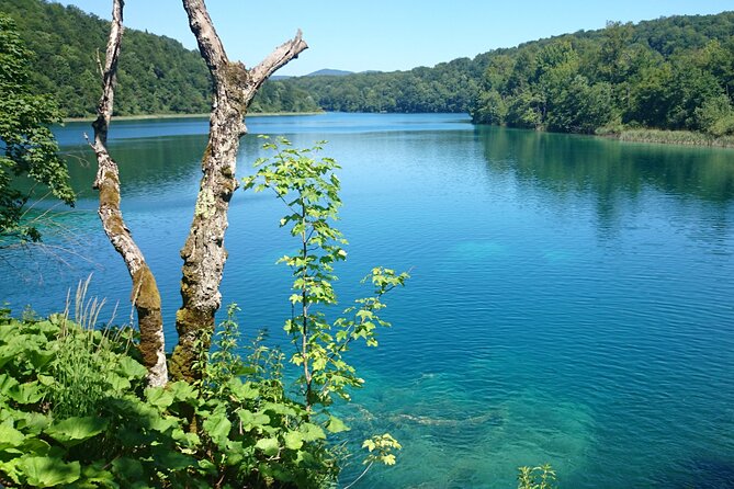 Guided Day Tour from Zadar to Plitvice Lakes - What’s Included vs. What You’ll Still Need