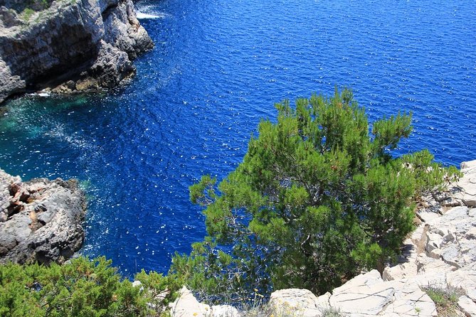KORNATI by speed boat - Key things I’d circle before booking