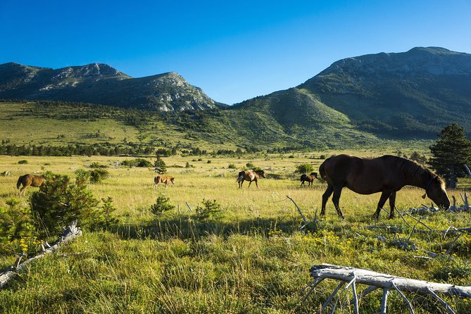Paklenica National Park Admission Ticket - Paklenica in One Day: What This Admission Ticket Gets You