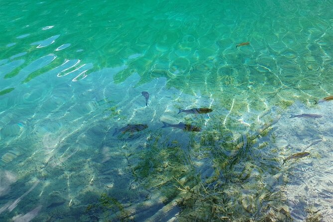 Plitvice Lakes Day Tour from Zadar, Simple and Safe - How the Zadar-to-Plitvice schedule really plays out