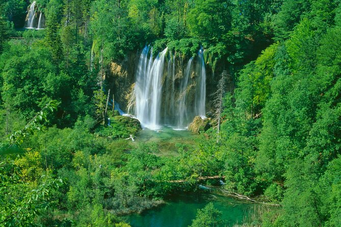 Plitvice Lakes Day Tour from Zadar, Simple and Safe - Morning tour: what you need to know about the entrance fee and timing