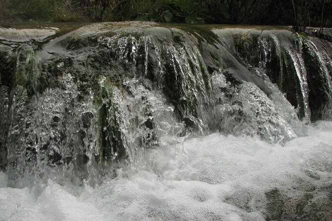 Plitvice Lakes Guided Tour - The panoramic train ride: a smart payoff for tired legs