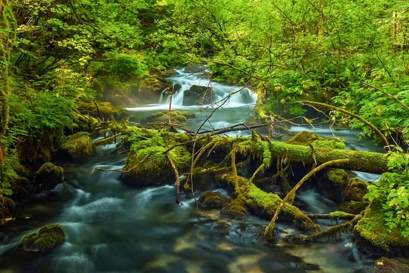 Plitvice Lakes: Guided Walking Tour with Train and Boat Ride - Quick hits before you go
