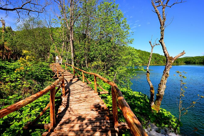 Plitvice Lakes National Park Admission Ticket - Dogs, service animals, and who this ticket suits best