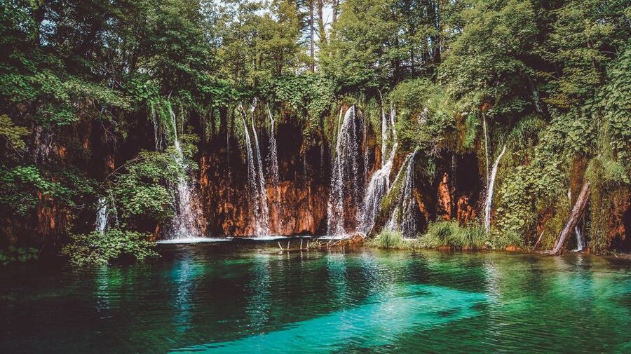 Plitvice Lakes National Park: Private Tour from Zadar - Price and value: $695 per group is about removing stress