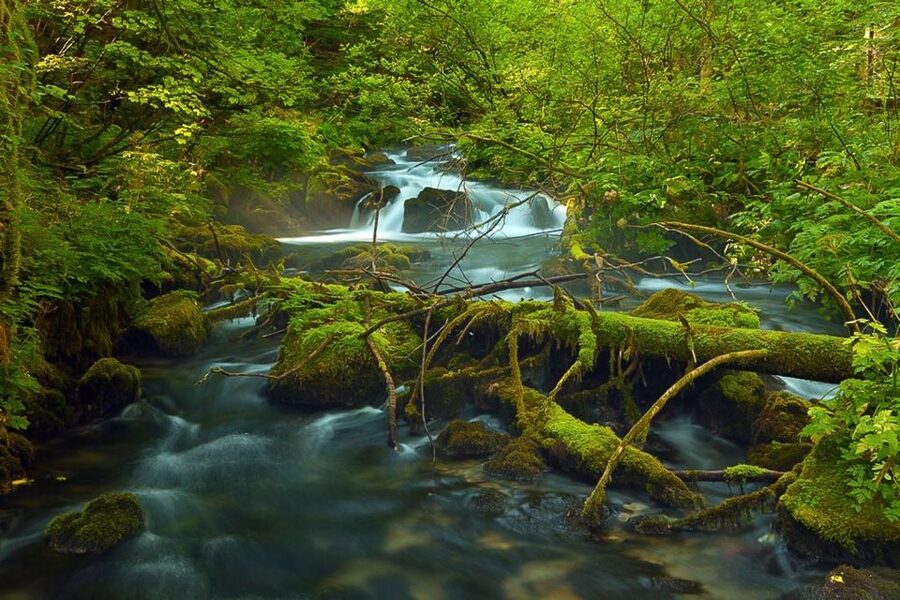 Plitvice Lakes Private Guided Tour - The best photo stops aren’t always obvious