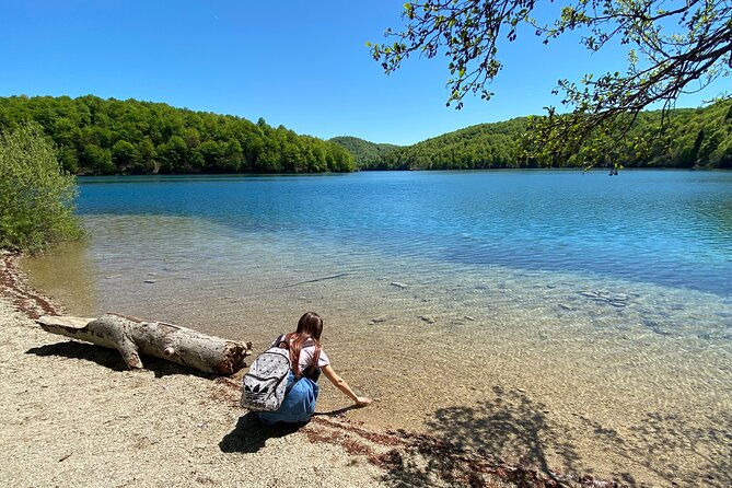 Plitvice private tour driver + guide up to 8 ppl from Zadar - Why this private Plitvice trip works better than DIY
