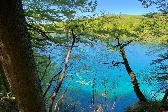 Plitvice private tour driver + guide up to 8 ppl from Zadar - What’s included vs what you’ll pay on the day