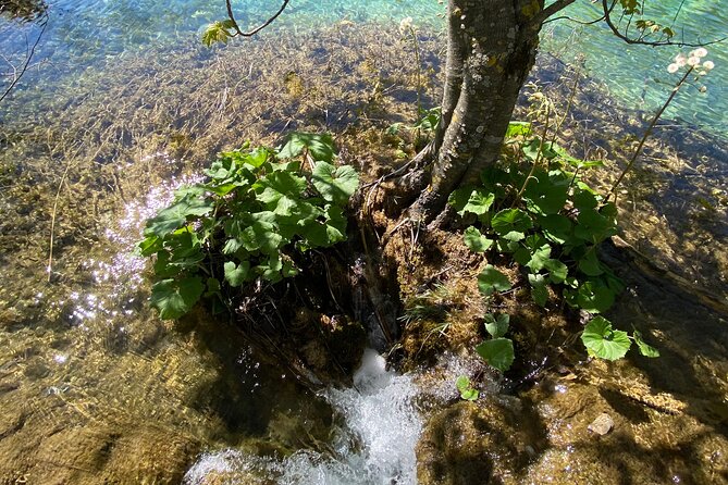 Plitvice private tour driver + guide up to 8 ppl from Zadar - A smoother day in your own hands: what to prepare