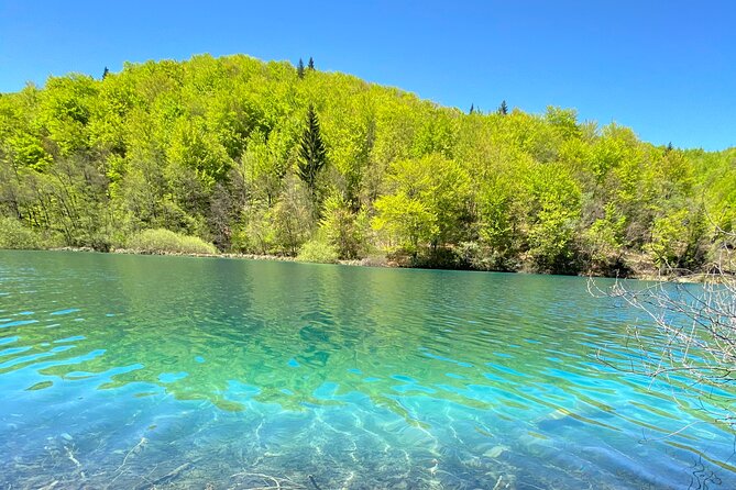 Plitvice private tour driver + guide up to 8 ppl from Zadar - Inside Plitvice Lakes National Park: what the guided walk really gives you