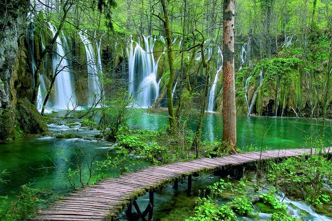 Private Full-Day Tour in Plitvice Lakes National Park from Zadar - Why Plitvice Lakes feels different on a guided private day