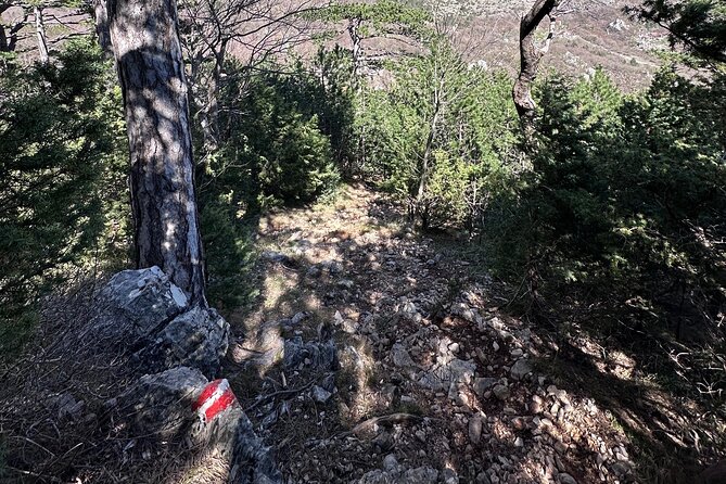Private Paklenica Hiking Tour from Zadar up to 8 people - Vidikovac Viewpoint Option: A Steeper Stretch You Can Skip