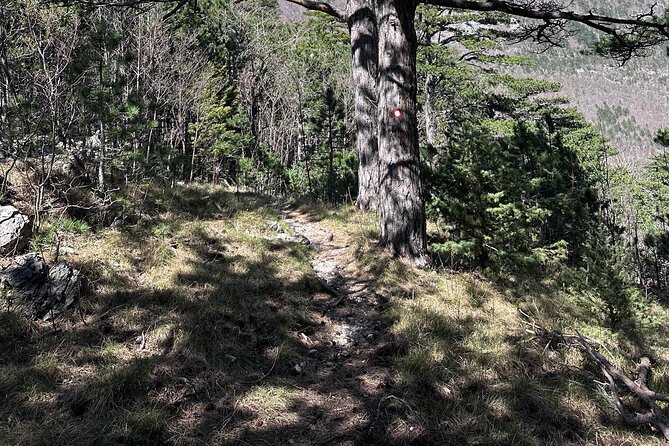 Private Paklenica Hiking Tour from Zadar up to 8 people - What to Pack for Paklenica: Small Things That Save the Day