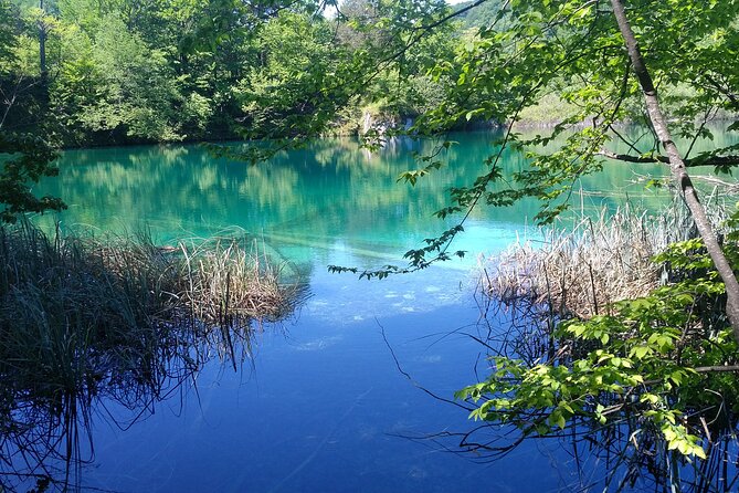 Private Roundtrip Transfer from Zadar to Krka National Park - Meeting Back Up and Getting Back to Zadar