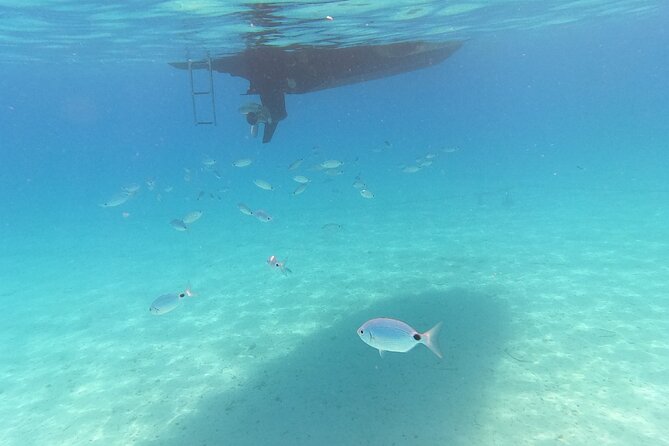 Private tour to Islands Ugljan, Ošljak and Preko from Zadar - Snorkeling at the pace you want (and comfort touches that reduce hassle)
