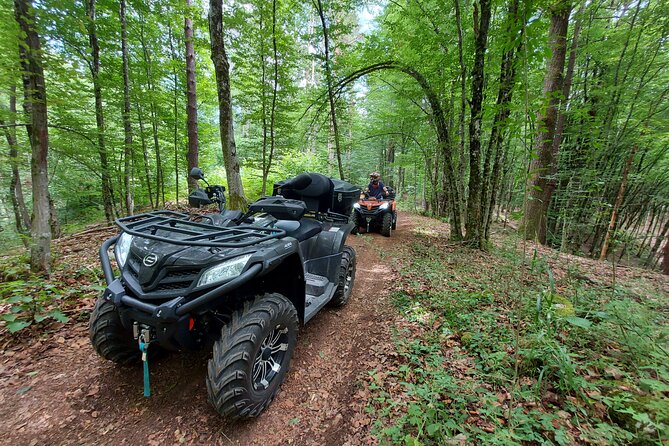 Quad adventure - What the Ride Feels Like: Forest Paths, Meadows, and Off-Road Moments