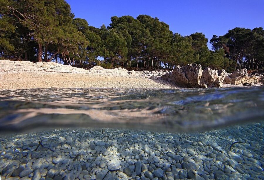 Sakarun Beach Full-Day Guided Tour from Zadar - Price and Value: What $68 Gets You (and What You Need to Plan)