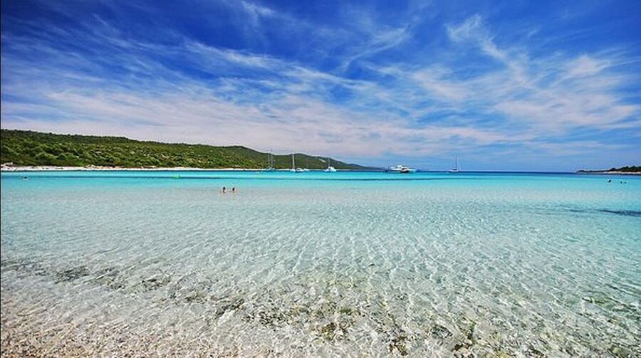 Sakarun Beach Full-Day Guided Tour from Zadar - Dugi Otok and the Short Bus Transfer to Saharun