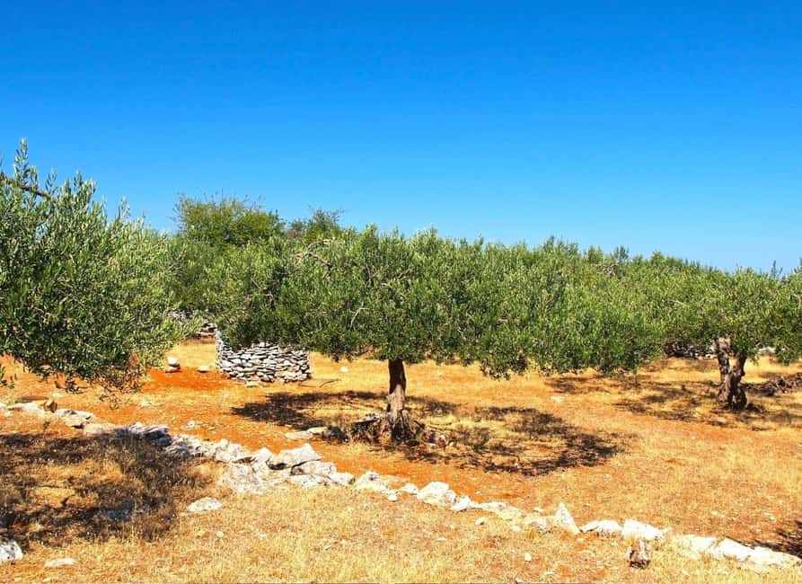 Sibenik: Stunning views, History & Tasting - Croatia in day - Kaštel Benković and the coast–hinterland crossroads