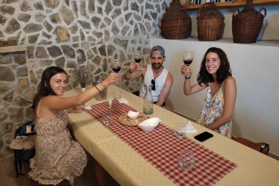 Split: Krka National Park Full-Day Tour with Wine Tasting - Skradin break time: swim if conditions allow
