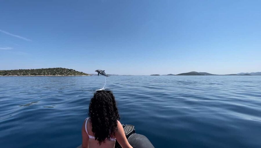 Zadar: 3-Island Speedboat Tour with Snorkeling and Drinks - Price and logistics: what $34 gets you, plus the docking fee
