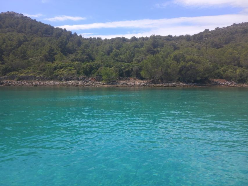 Zadar: Boat tour Half day -Private - Frnaža and Otrić bays: anchor, swim, repeat