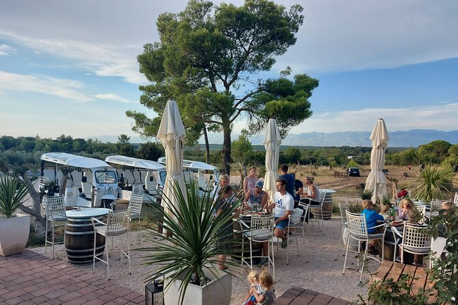 Zadar: City and Wine Tour in Zadar with Eco Tuk Tuk - Price and Value: Is $108.14 Actually Fair?